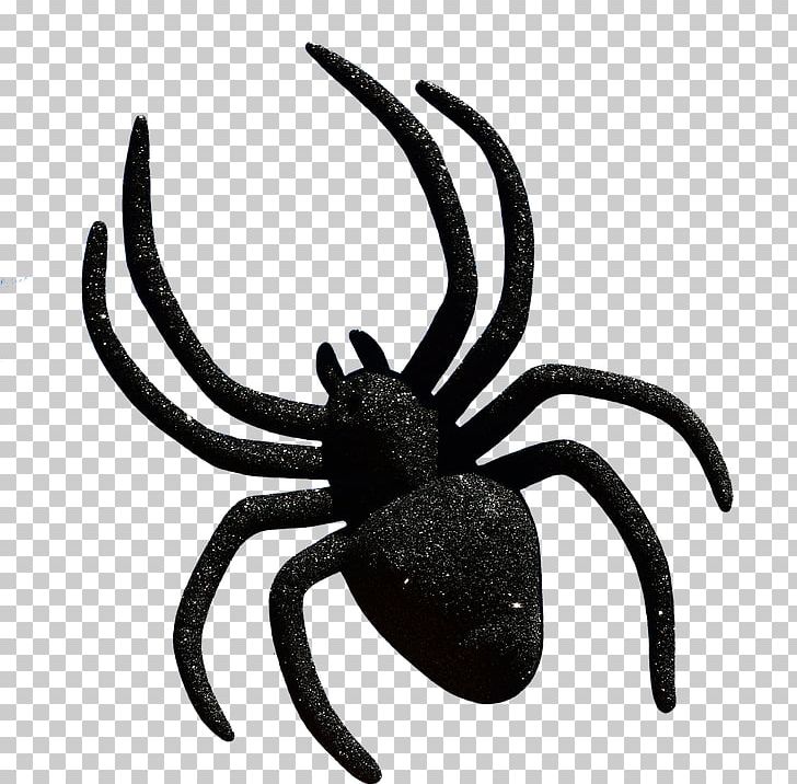 Widow Spiders Halloween PNG, Clipart, Arachnid, Arthropod, Black And White, Decapoda, Halloween Free PNG Download