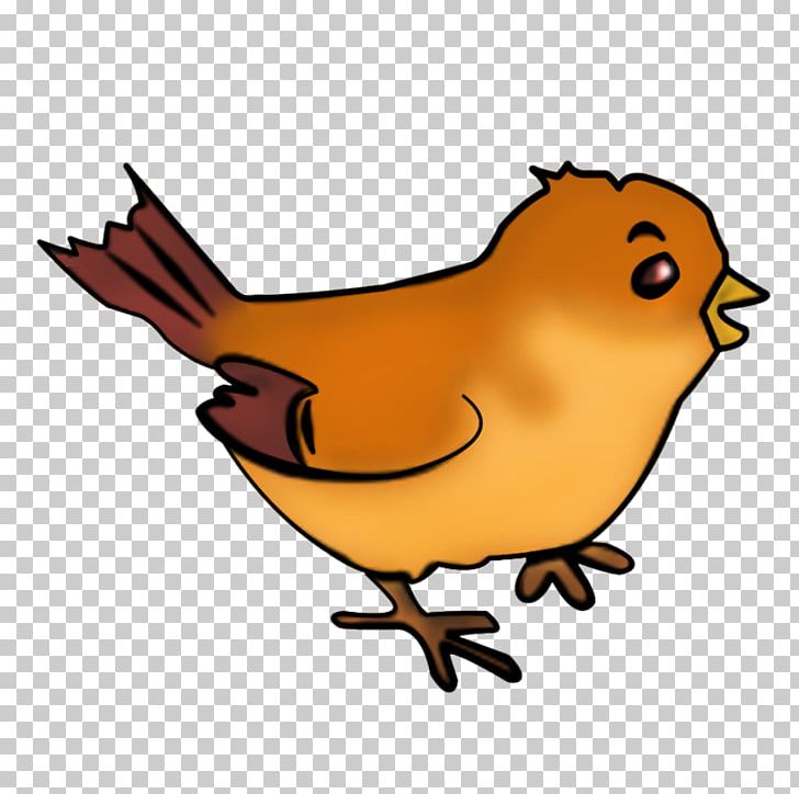 Beak Cartoon Wildlife Chicken As Food PNG, Clipart, Artwork, Beak, Bird, Cartoon, Chicken Free PNG Download