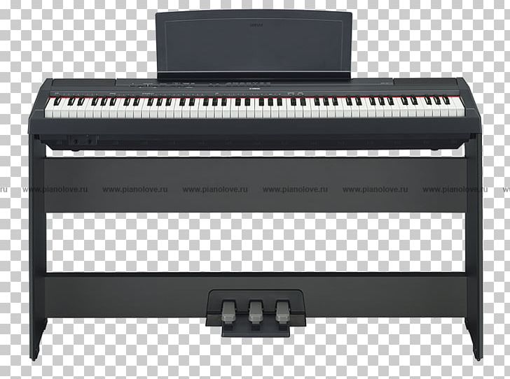 Yamaha P-115 Digital Piano Yamaha Corporation Keyboard PNG, Clipart, Action, Celesta, Digital Piano, Electronics, Input Device Free PNG Download