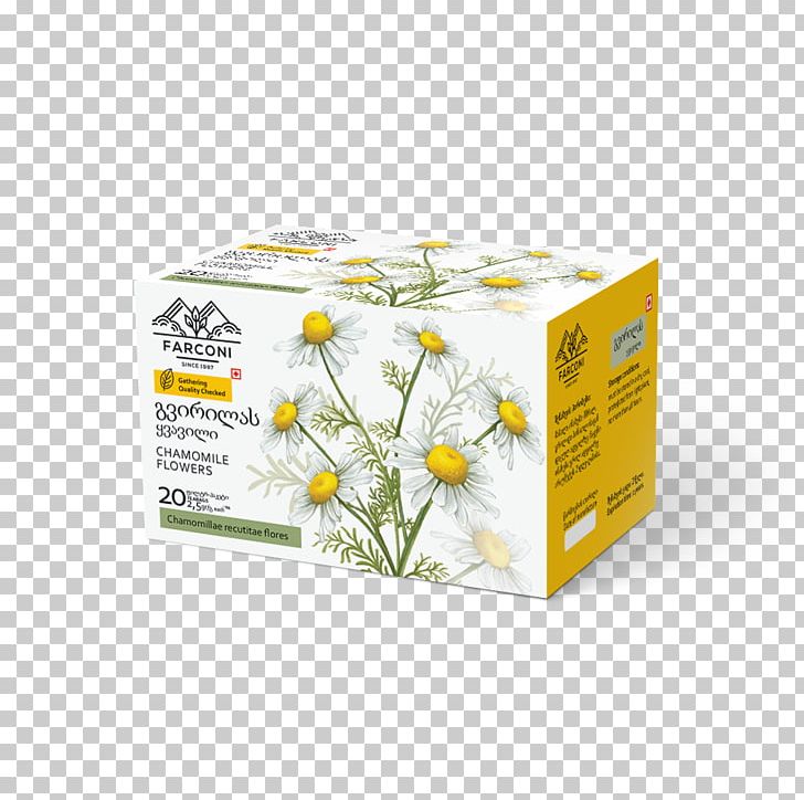 Flower Plant PNG, Clipart, Chamomile, Flower, Nature, Plant, Yellow Free PNG Download