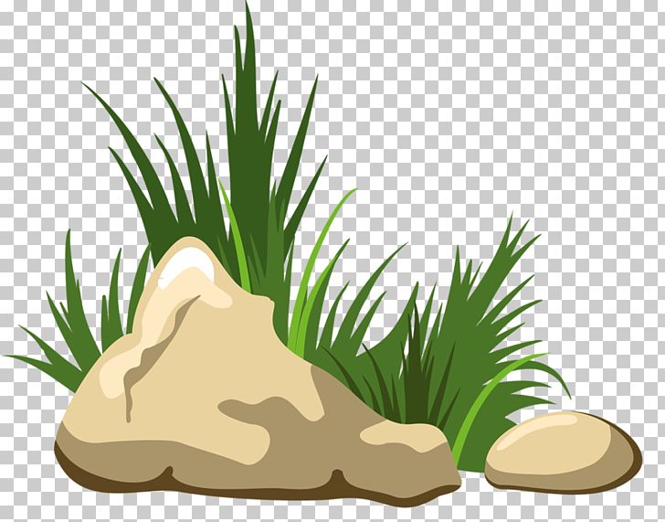 Rock PNG Clipart Art Artificial Grass Boulder Cartoon Commodity Free PNG Download