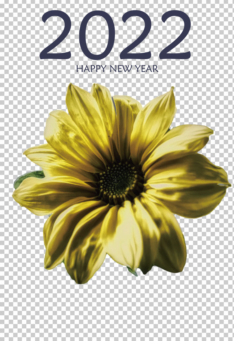 2022 Happy New Year 2022 New Year 2022 PNG, Clipart, Chrysanthemum, Common Sunflower, Cut Flowers, Flower, Meter Free PNG Download