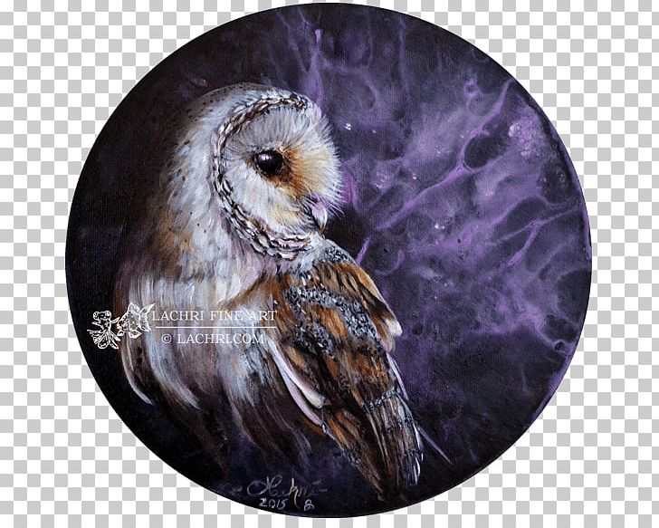 Barn Owl Bird Painting Oil Paint PNG, Clipart, Abstract Art, Acrylic Paint, Animals, Art, Barn Owl Free PNG Download