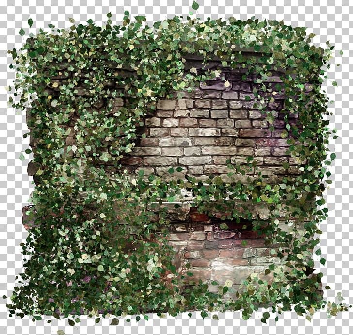 Hand Painted Walls Overgrown With Weeds PNG, Clipart, Atmosphere, Brick Wall, Computer Icons, Flower, Flowerpot Free PNG Download