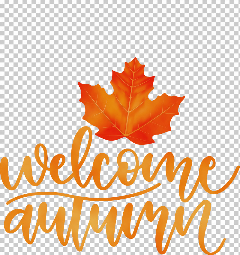 Maple Leaf PNG, Clipart, Autumn Time, Biology, Hello Autumn, Leaf, Maple Free PNG Download