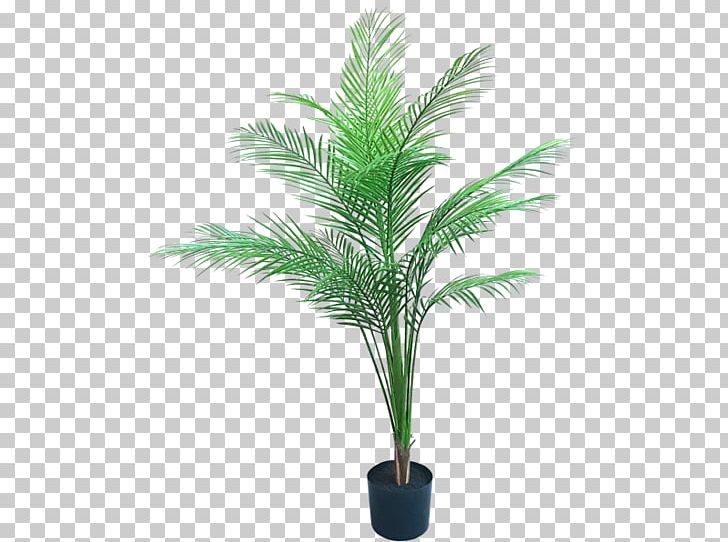 Artificial Flower Date Palm Flowerpot Plant PNG, Clipart, Arecales, Artificial Flower, Buckle, Date Palm, Date Palms Free PNG Download
