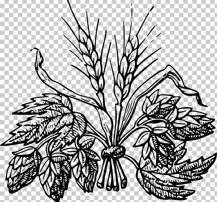 Beer Hops Drawing Barley PNG, Clipart, Art, Artwork, Barley, Beer, Black And White Free PNG Download