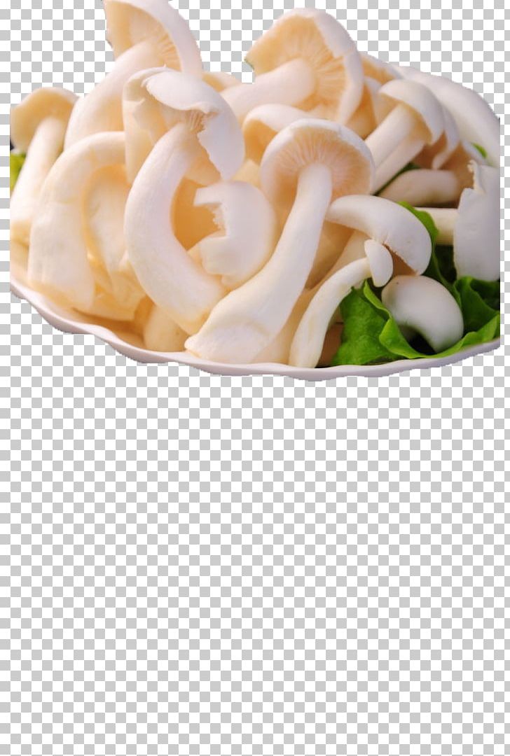 Common Mushroom White PNG, Clipart, Background White, Black White, Common Mushroom, Cream, Cuisine Free PNG Download