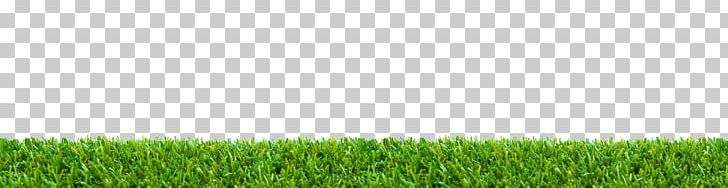 Stock Photography Lawn PNG, Clipart, Agriculture, Bokeh, Commodity, Crop, Depositphotos Free PNG Download