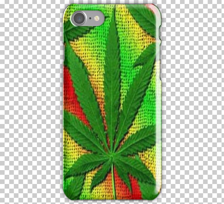 Cannabis Green Leaf PNG, Clipart, Cannabis, Grass, Green, Hemp, Hemp Family Free PNG Download