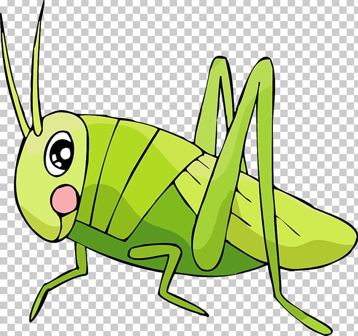 Grasshopper Insect Locust Cartoon PNG, Clipart, Animal, Artwork, Batta Tibor, Caelifera, Cartoon Free PNG Download