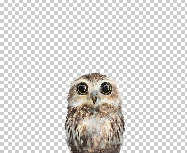 Little Owl Amy Hamilton Design + Illustration Bird Poster PNG, Clipart, Amy Hamilton Designillustration, Animals, Anime Girl, Art, Beak Free PNG Download