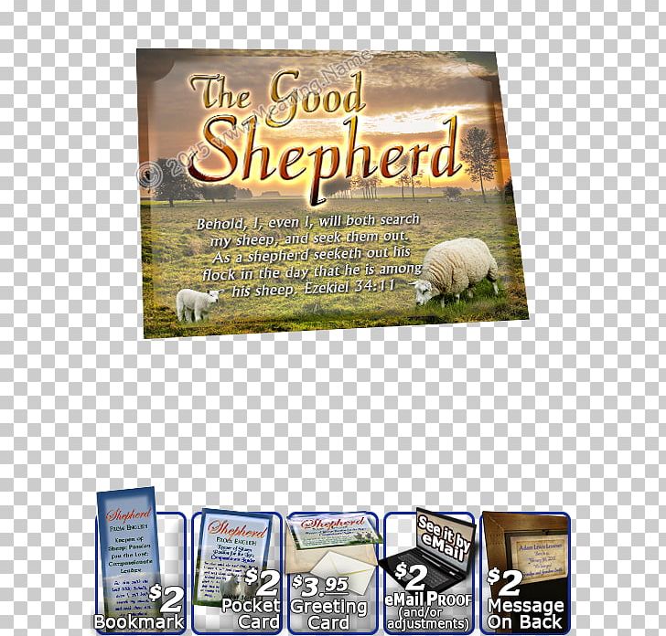 Name Meaning Keyword Tool Text Bible PNG, Clipart, Acetylene, Advertising, Bible, God, Keyword Research Free PNG Download