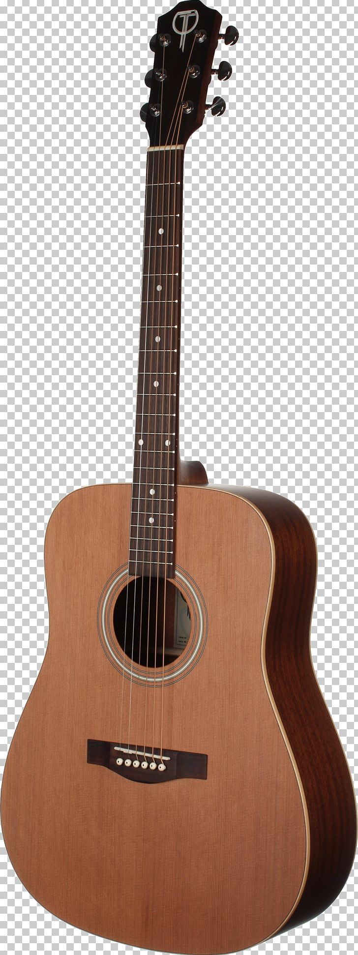 Acoustic Guitar Dreadnought Twelve-string Guitar PNG, Clipart,  Free PNG Download