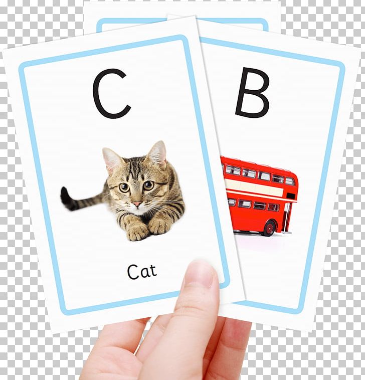 Flashcard Phonics Alphabet Child PNG, Clipart, Alphabet, Animal, Cat, Cat Like Mammal, Child Free PNG Download