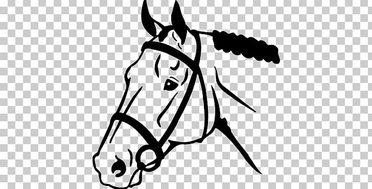 Horse Colt Equestrian Foal Clock PNG, Clipart, Animals, Black, Carriage, Dog Like Mammal, Fictional Character Free PNG Download