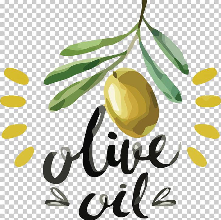Olive Oil PNG, Clipart, Bottle, Brand, Creativ, Food, Fruit Free PNG Download