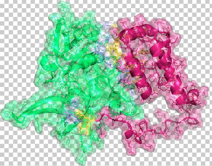 PEA15 HtrA Serine Peptidase 2 Monomer Bead Gemstone PNG, Clipart, Bead, Candy, Carbon Nanotube, Charge Density, Docking Free PNG Download
