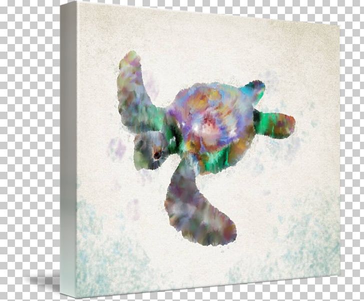 Sea Turtle PNG, Clipart, Animals, Organism, Reptile, Sea Turtle, Turtle Free PNG Download