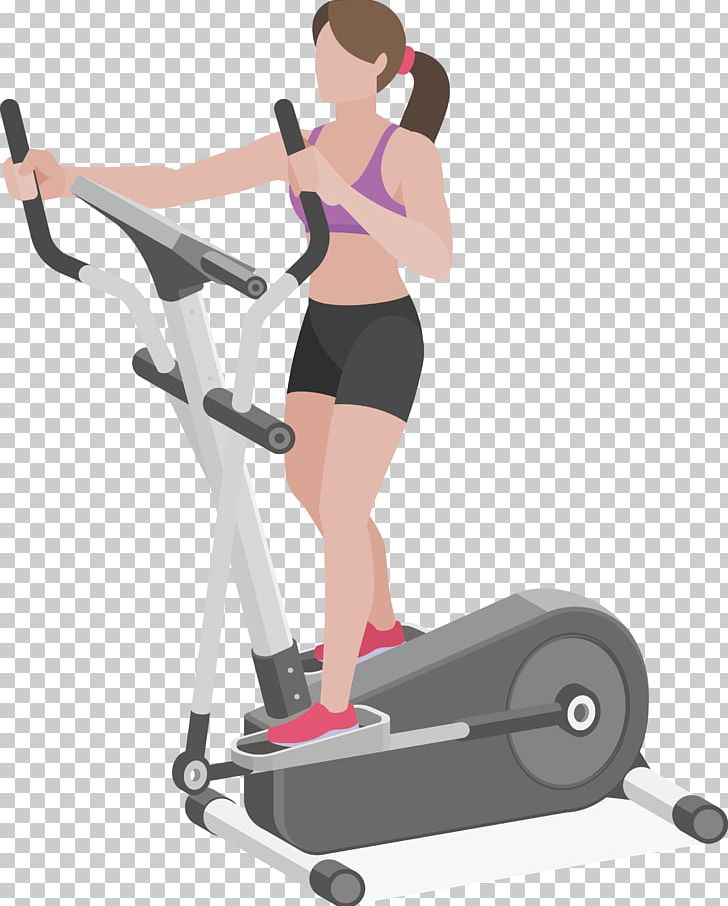 Elliptical Trainer Physical Fitness Fitness Centre Physical Exercise PNG, Clipart, Abdomen, Arm, Arm Muscle, Beauty Salon, Bodybuilding Free PNG Download
