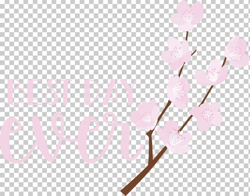 Best Day Ever Wedding PNG, Clipart, Best Day Ever, Branching, Cherry Blossom, Cut Flowers, Flower Free PNG Download