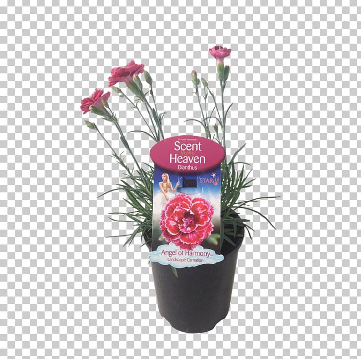 Floral Design Flowerpot Pink Cut Flowers PNG, Clipart, Artificial Flower, Cut Flowers, Dianthus, Floral Design, Floristry Free PNG Download