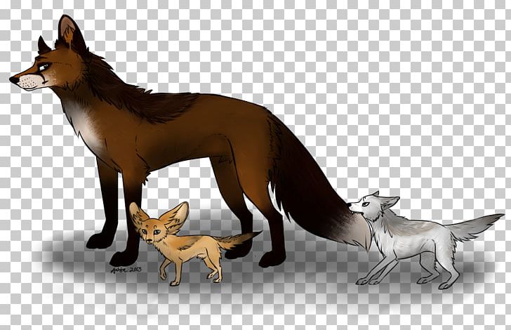 Whiskers Red Fox Cat Dog Breed PNG, Clipart, Animals, Breed, Carnivoran, Cat, Cat Like Mammal Free PNG Download