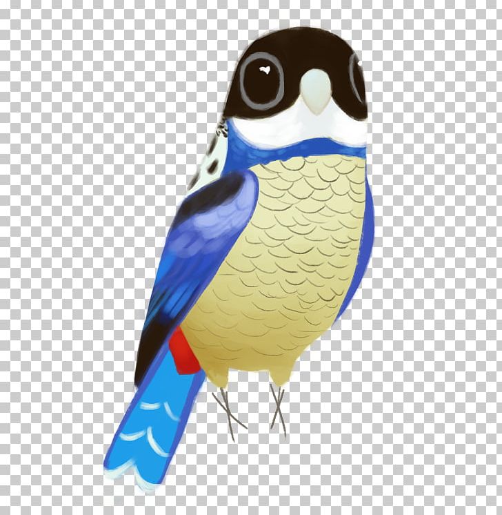 Beak Cobalt Blue Feather PNG, Clipart, Animals, Beak, Bird, Blue, Cobalt Free PNG Download