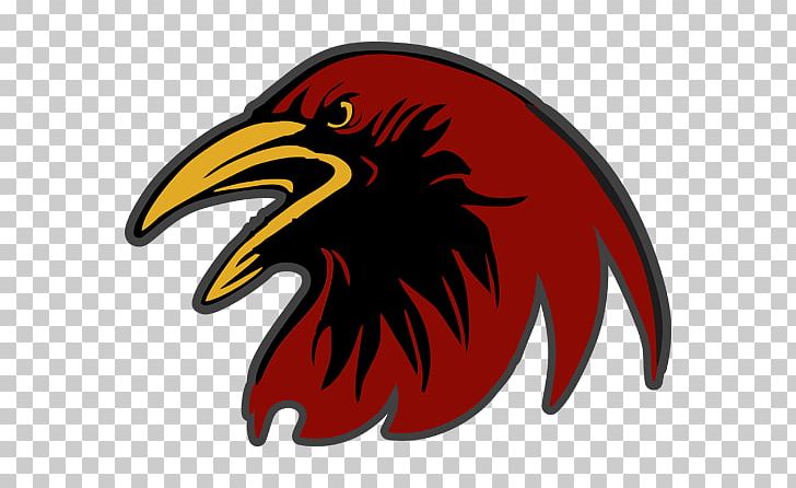 CREC Academy Of Science And Innovation Baltimore Ravens Mascot School Sport PNG, Clipart, Baltimore Ravens, Beak, Bird, Bird Of Prey, Capitol Region Education Council Free PNG Download