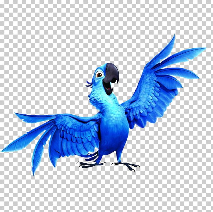 Blu Jewel Rio De Janeiro Nigel PNG, Clipart, Beak, Bird, Blu, Brazil Rio, Character Free PNG Download