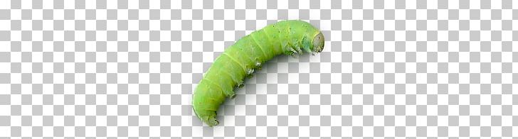 Caterpillar Agriculture Icon PNG, Clipart, Agriculture, Angling, Asp, Background Green, Bug Free PNG Download