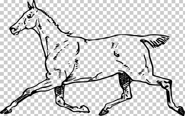 Mustang Mule Canter And Gallop PNG, Clipart, Animal Figure, Art, Black And White, Bri, Carnivoran Free PNG Download