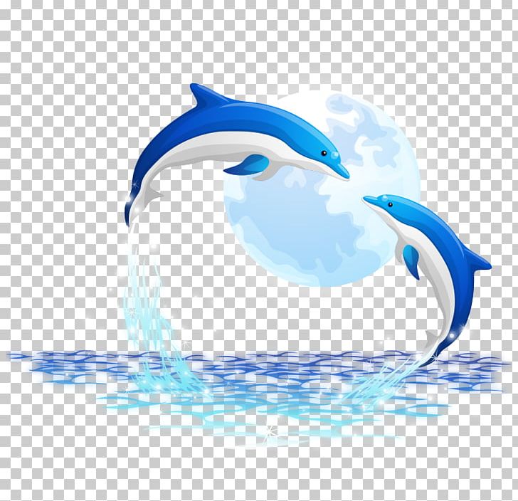 Oceanic Dolphin PNG, Clipart, Animals, Bird, Cute Dolphin, Dolphin, Dolphin Cartoon Free PNG Download