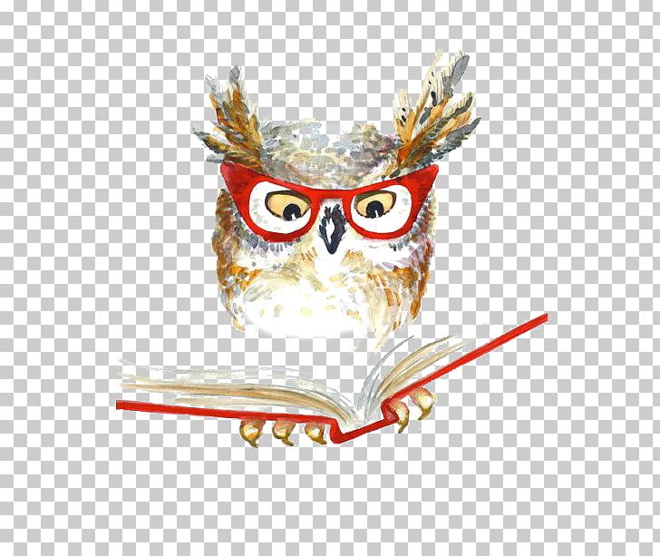 Owl Drawing Watercolor Painting PNG, Clipart, Altered Book, Animals, Art, Barn Owl, Beak Free PNG Download