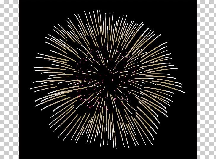 Fireworks Animation PNG, Clipart, Animation, Cartoon, Drawing, Event, Firecracker Free PNG Download