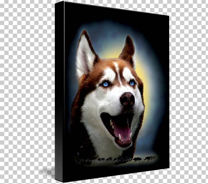 Siberian Husky Sakhalin Husky Alaskan Malamute Kind Dog Breed PNG, Clipart, Alaskan Husky, Alaskan Malamute, Art, Canvas, Carnivoran Free PNG Download