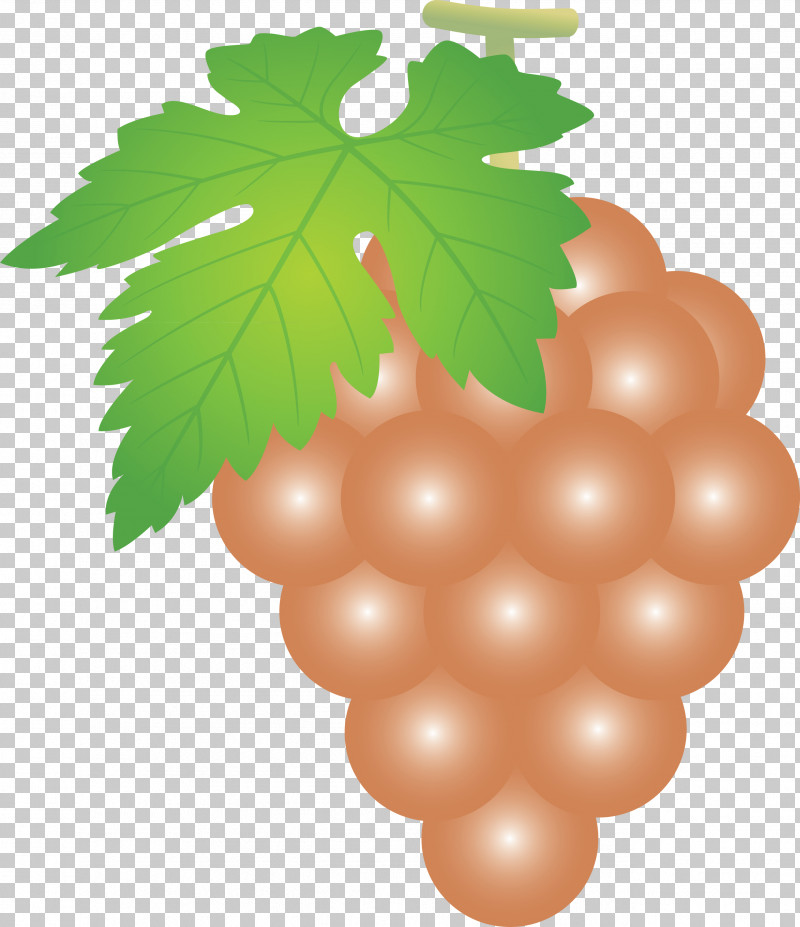 Grape Grapes Fruit PNG, Clipart, Currant, Flower, Fruit, Grape, Grape Leaves Free PNG Download