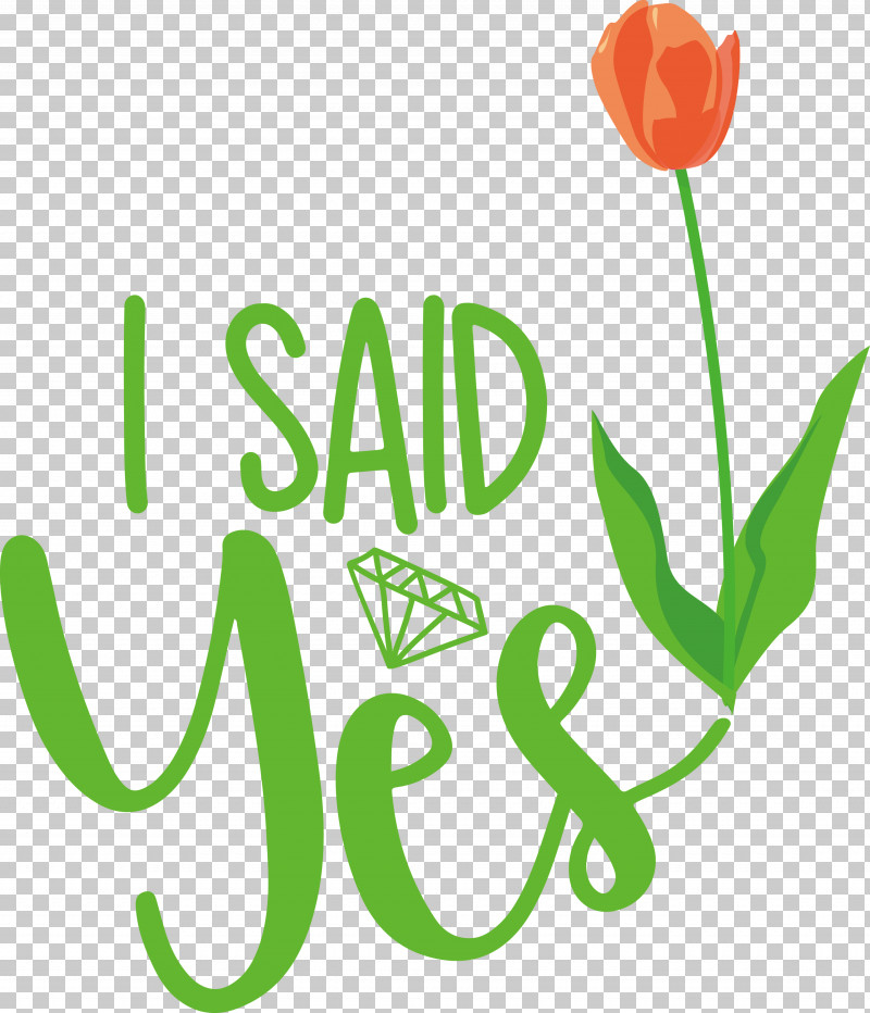 I Said Yes She Said Yes Wedding PNG, Clipart, Flower, I Said Yes, Leaf, Logo, Meter Free PNG Download