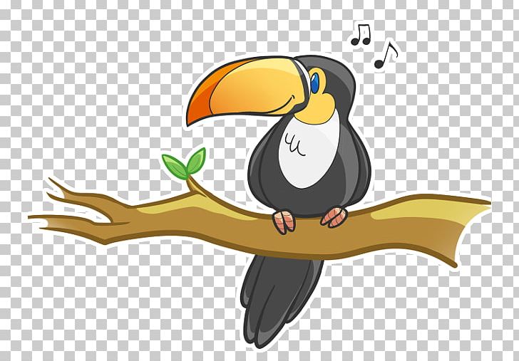 Bird Penguin Piciformes Toucan Beak PNG, Clipart, Animal, Animals, Beak, Bird, Cartoon Free PNG Download