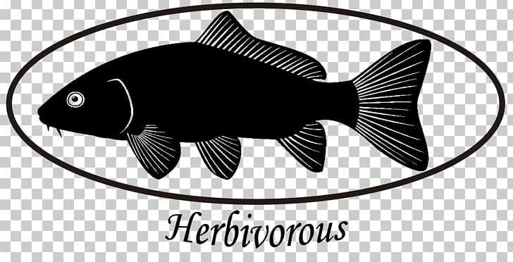 Fish Common Carp Black And White Silhouette PNG, Clipart, Animals, Black, Black And White, Brand, Carp Free PNG Download