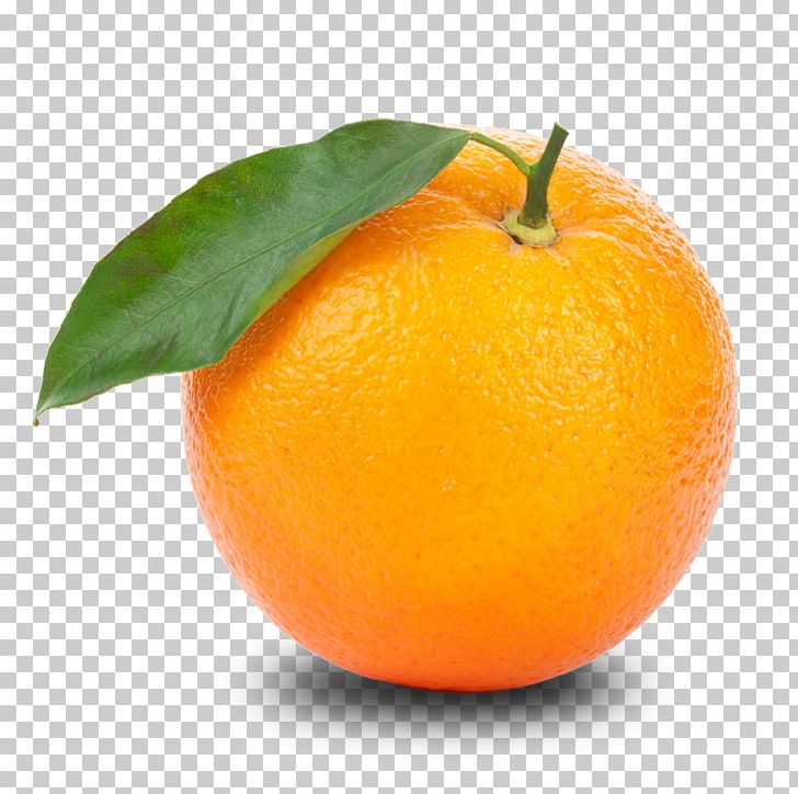 Orange Tangerine PNG, Clipart, Bitter Orange, Citric Acid, Citrus, Clementine, Colorful Free PNG Download