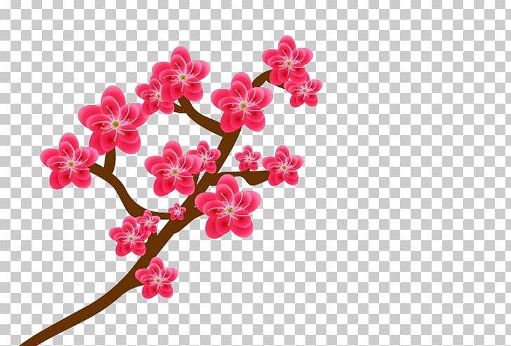 Plum Blossom PNG, Clipart, Animation, Blossom, Branch, Cherry Blossom, Cut Flowers Free PNG Download