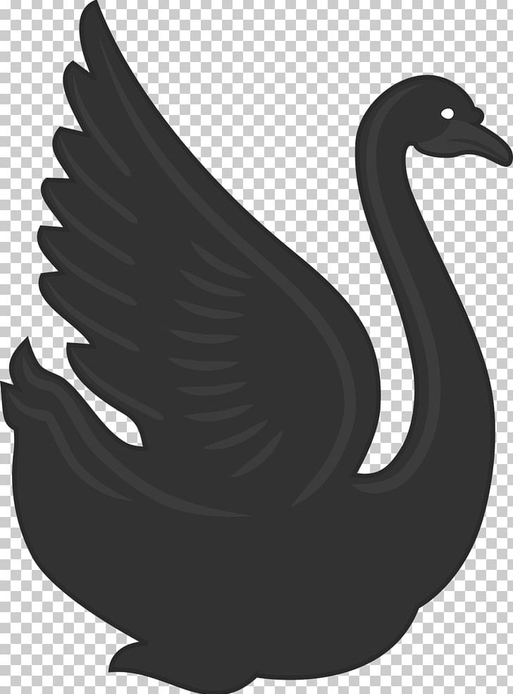 Cygnini Duck Drawing PNG, Clipart, Animals, Beak, Bird, Black And White, Clip Art Free PNG Download