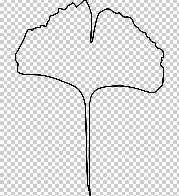Ginkgo Biloba Leaf PNG, Clipart, Angle, Area, Baiera, Black, Black And White Free PNG Download