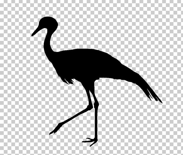 Blue Crane Bird Silhouette Feather PNG, Clipart, Beak, Bird, Black, Black And White, Blacknecked Crane Free PNG Download