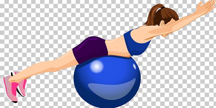 Abdominal Obesity Weight Loss Exercise Balls Dieting Adipose Tissue PNG, Clipart, Abdomen, Abdominal Obesity, Adipose Tissue, Arm, Balance Free PNG Download