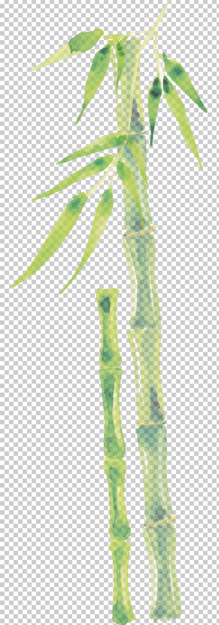 Bamboo Drawing Bamboe PNG, Clipart, Adobe Illustrator, Bamboo Leaf, Beautify, Branch, Cartoon Character Free PNG Download