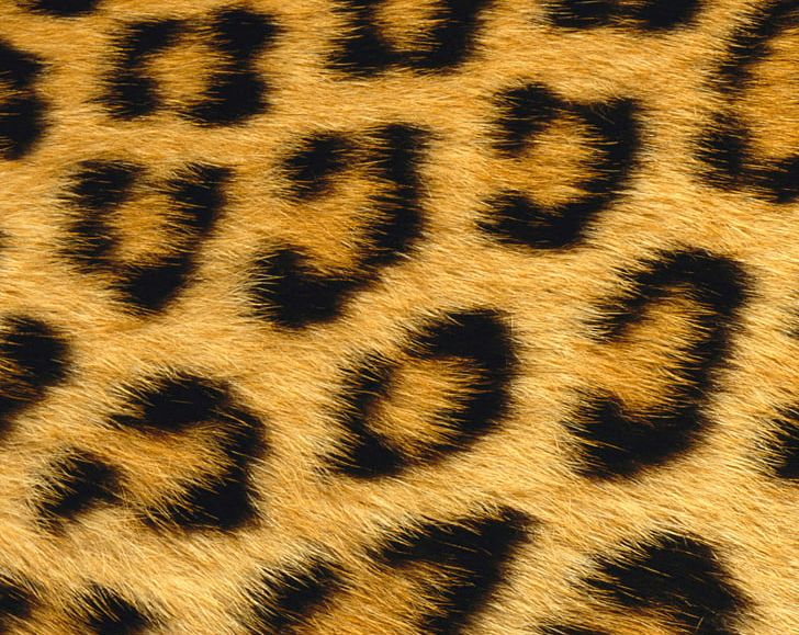 Giraffe Leopard Skin Animal Fur PNG, Clipart, Animal, Animal Fur, Animal Print, Animals, Big Cat Free PNG Download