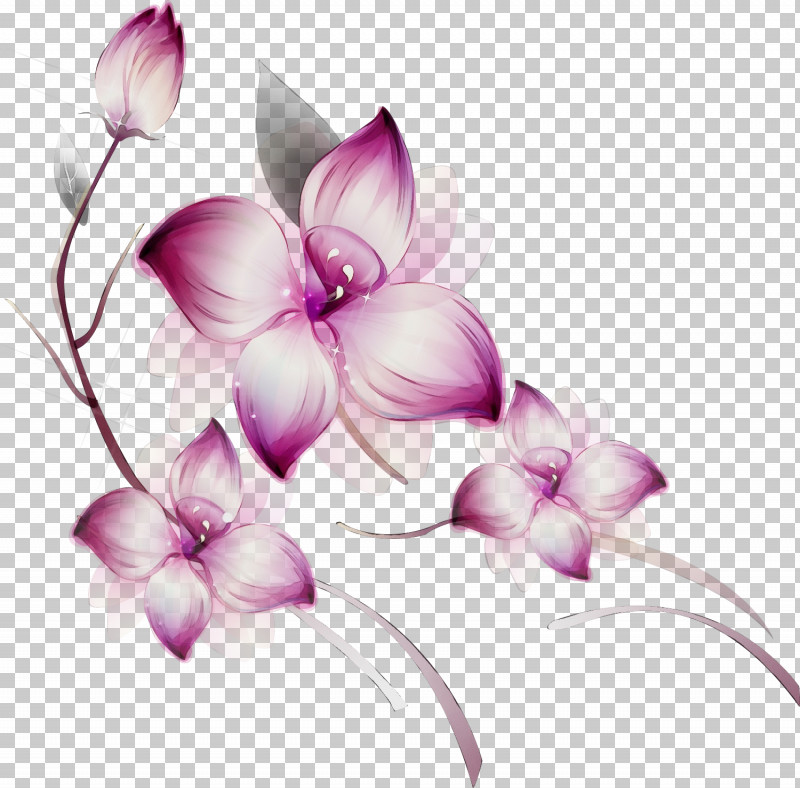 Violet Lilac Purple Petal Flower PNG, Clipart, Cooktown Orchid, Dendrobium, Flower, Herbaceous Plant, Lilac Free PNG Download