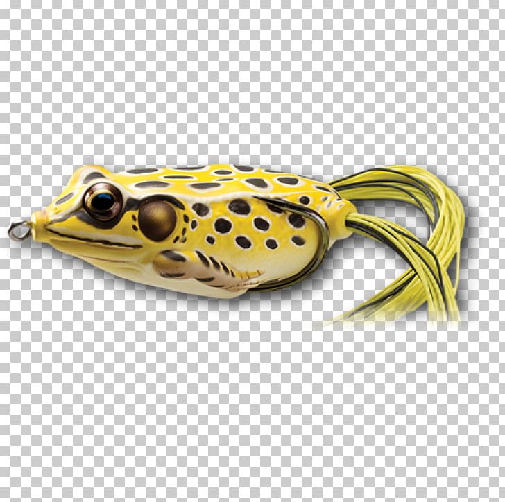 American Bullfrog Spoon Lure True Frog Fishing PNG, Clipart, American Bullfrog, Amphibian, Animals, Bait, Bullfrog Free PNG Download